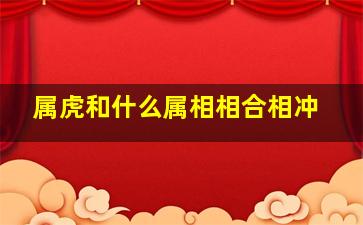 属虎和什么属相相合相冲