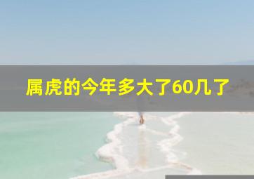 属虎的今年多大了60几了