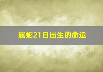 属蛇21日出生的命运