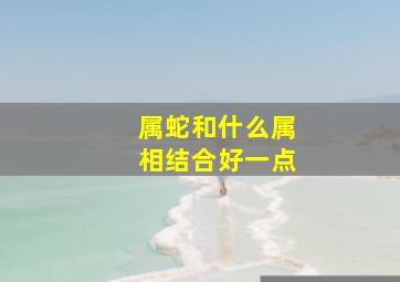 属蛇和什么属相结合好一点