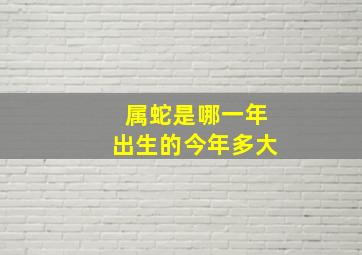 属蛇是哪一年出生的今年多大