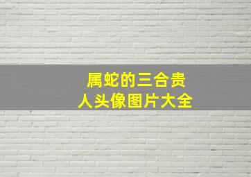 属蛇的三合贵人头像图片大全