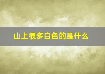 山上很多白色的是什么