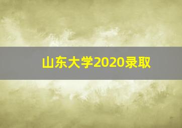 山东大学2020录取