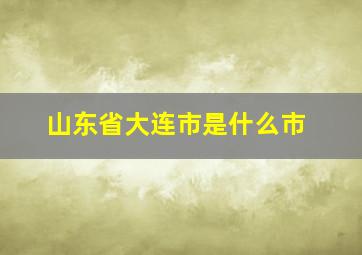 山东省大连市是什么市