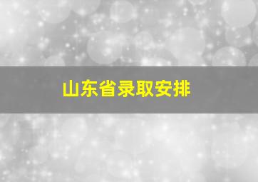 山东省录取安排