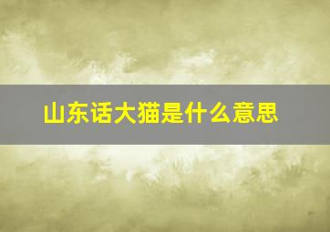 山东话大猫是什么意思