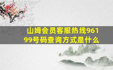 山姆会员客服热线96199号码查询方式是什么