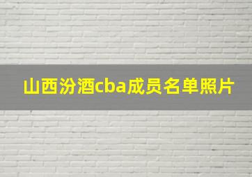 山西汾酒cba成员名单照片