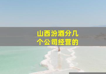 山西汾酒分几个公司经营的