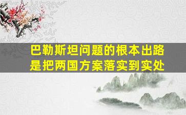 巴勒斯坦问题的根本出路是把两国方案落实到实处