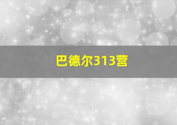 巴德尔313营