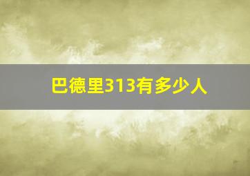 巴德里313有多少人