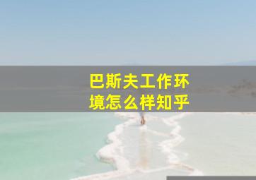 巴斯夫工作环境怎么样知乎