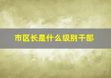 市区长是什么级别干部