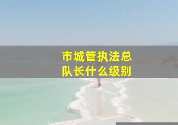 市城管执法总队长什么级别