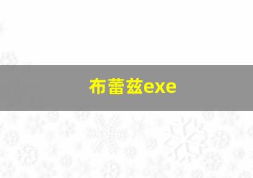 布蕾兹exe