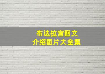 布达拉宫图文介绍图片大全集