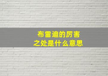 布雷迪的厉害之处是什么意思