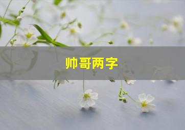 帅哥两字