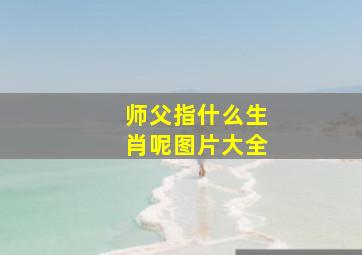 师父指什么生肖呢图片大全