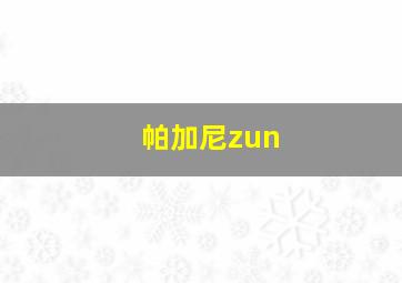 帕加尼zun