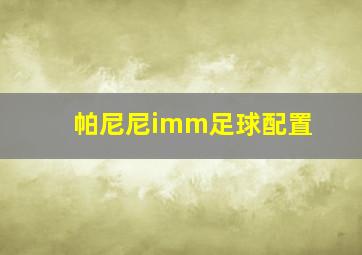 帕尼尼imm足球配置