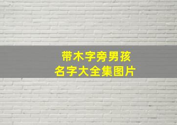 带木字旁男孩名字大全集图片