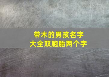 带木的男孩名字大全双胞胎两个字