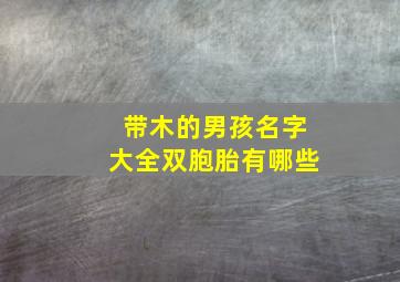 带木的男孩名字大全双胞胎有哪些