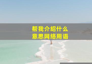 帮我介绍什么意思网络用语