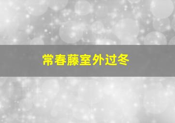 常春藤室外过冬