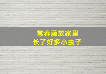 常春藤放家里长了好多小虫子