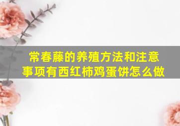 常春藤的养殖方法和注意事项有西红柿鸡蛋饼怎么做