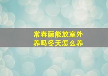 常春藤能放室外养吗冬天怎么养