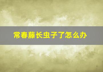 常春藤长虫子了怎么办