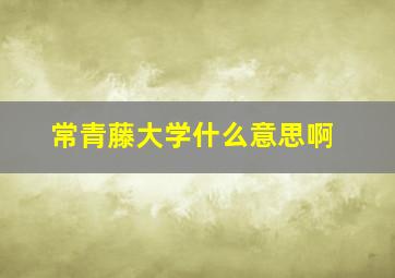 常青藤大学什么意思啊