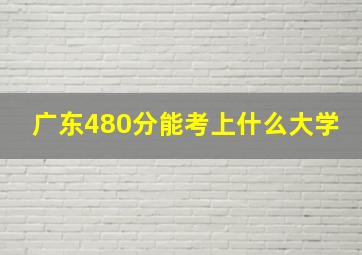 广东480分能考上什么大学