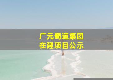 广元蜀道集团在建项目公示