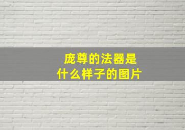 庞尊的法器是什么样子的图片