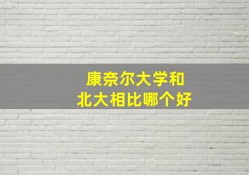 康奈尔大学和北大相比哪个好