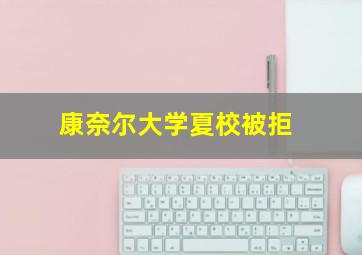 康奈尔大学夏校被拒