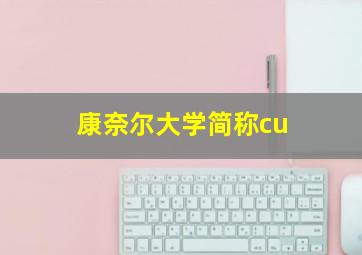 康奈尔大学简称cu