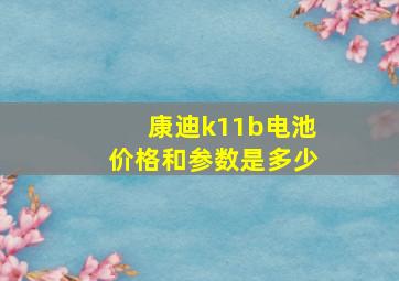 康迪k11b电池价格和参数是多少