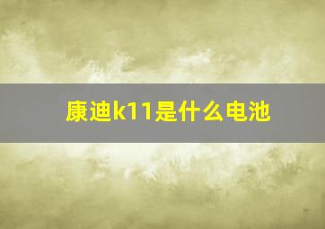 康迪k11是什么电池