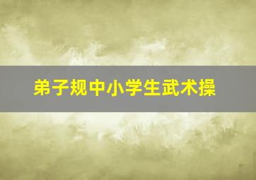 弟子规中小学生武术操