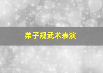 弟子规武术表演