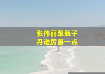 张伟丽跟甄子丹谁厉害一点