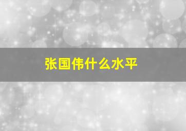 张国伟什么水平