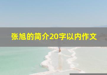 张旭的简介20字以内作文